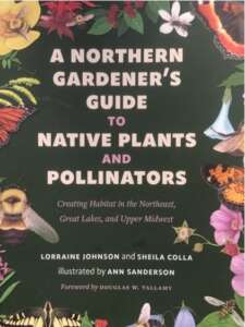 A-Northern-Gardeners-Guide-to-Native-Plants-and-Pollinators
