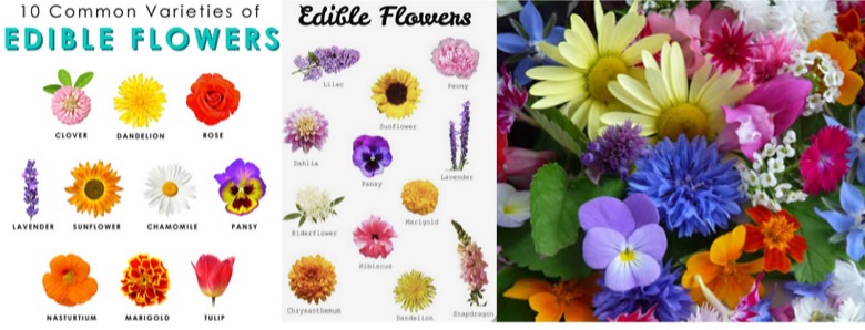 Edible Flowers